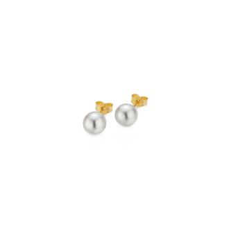 gellner-5-22552-03