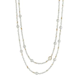 gellner-2-81692-01