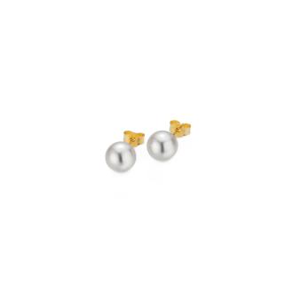 gellner-5-23696-01