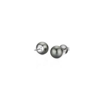 gellner-5-23673-01