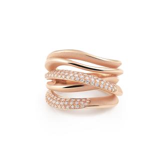 annamaria-cammilli-gan3688galp