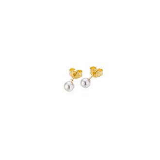 gellner-5-23679-01