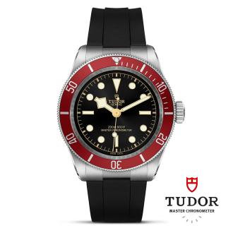 tudor-m7941a1a0ru-0002