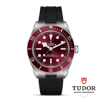 tudor-m7939a1a0ru-0003