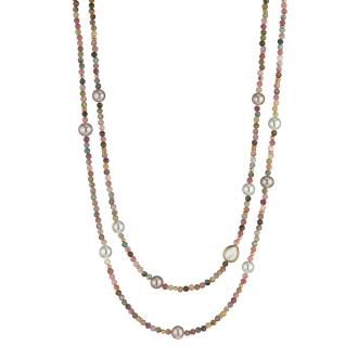 gellner-2-81695-01