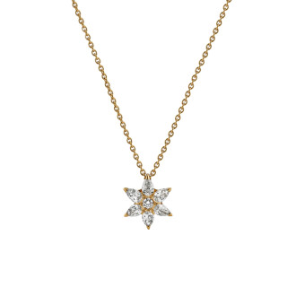 h-krieger-111-4297-06-1