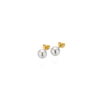 gellner-5-23694-01