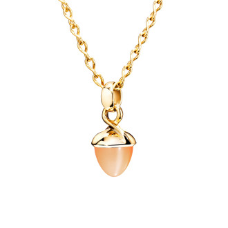 tamara-comolli-p-mb-carn-wg