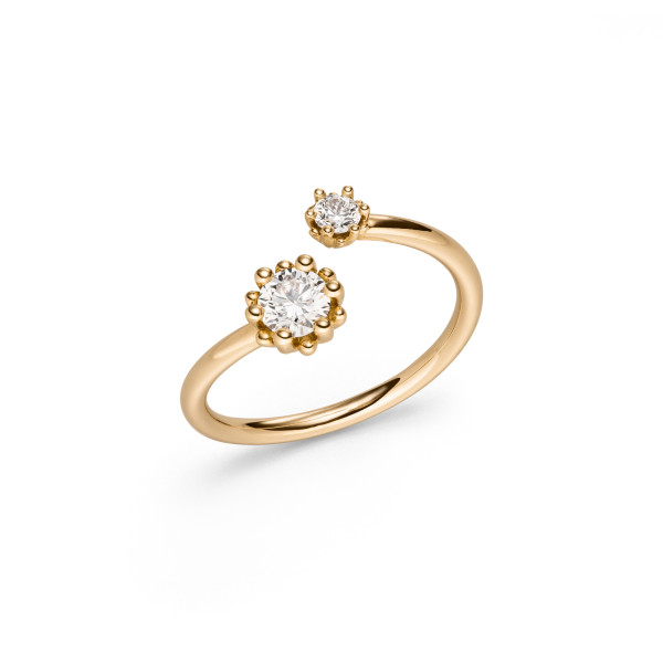 Alpen Ring