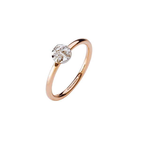 Alpen Ring