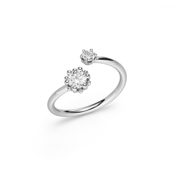 Alpen Ring