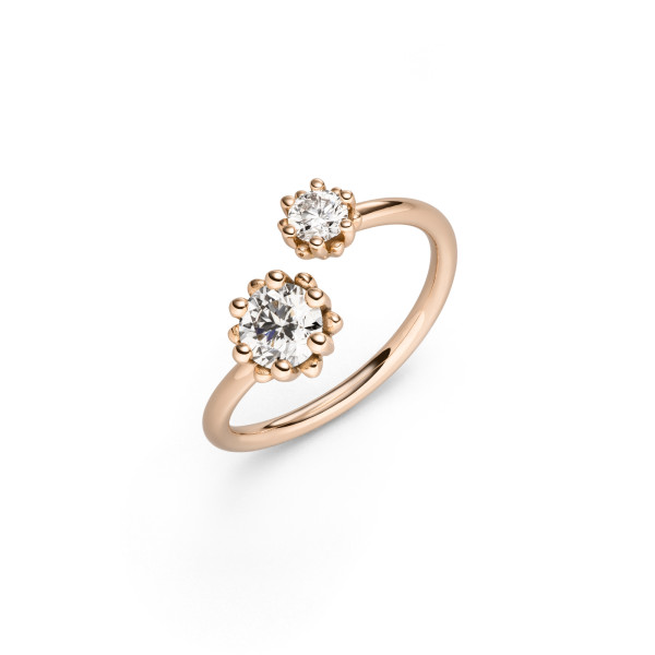 Alpen Ring