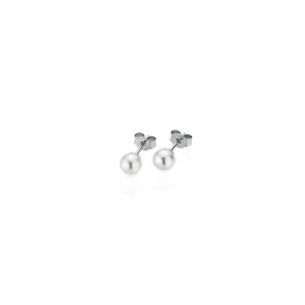 BASICS Ohrstecker