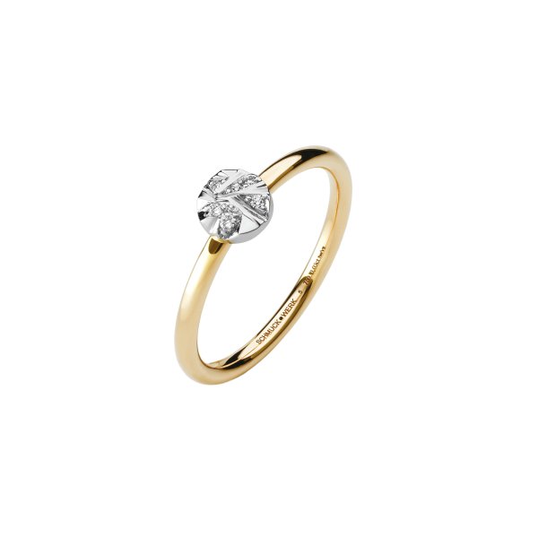 Alpen Ring
