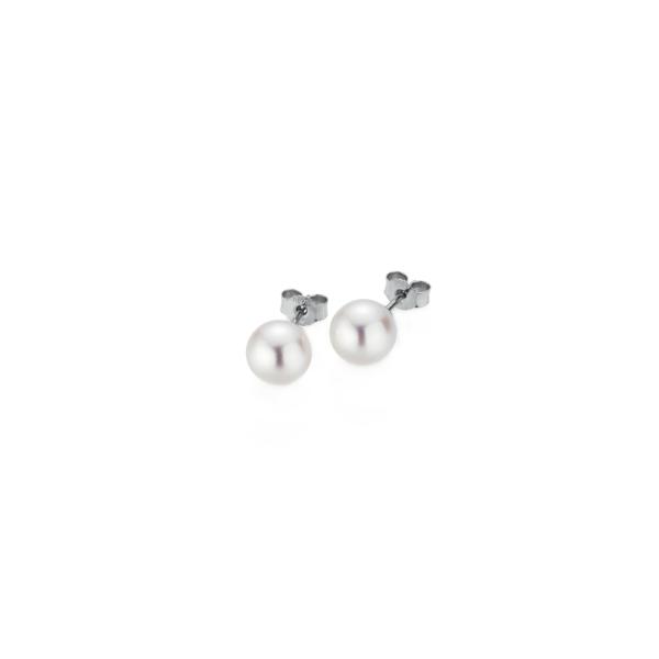 BASICS Ohrstecker