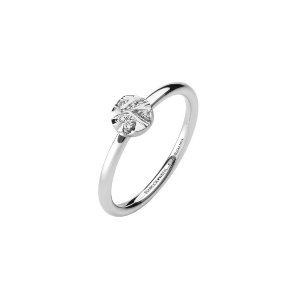 Alpen Ring