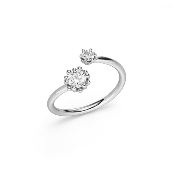 Alpen Ring