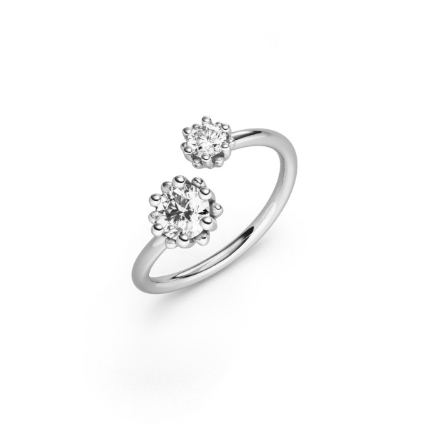 Alpen Ring