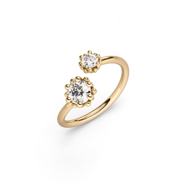 Alpen Ring