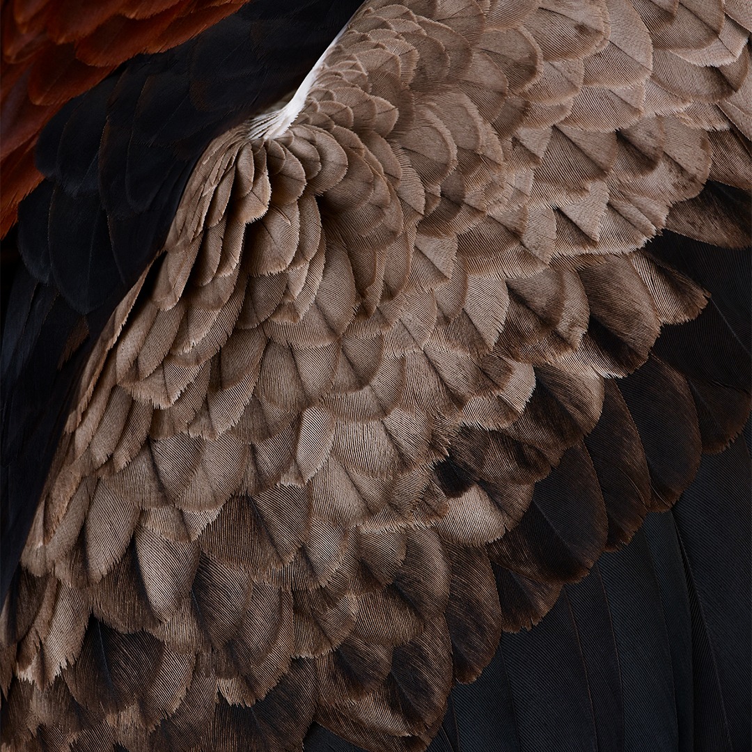 @juwelier_cwm 04.04.2026