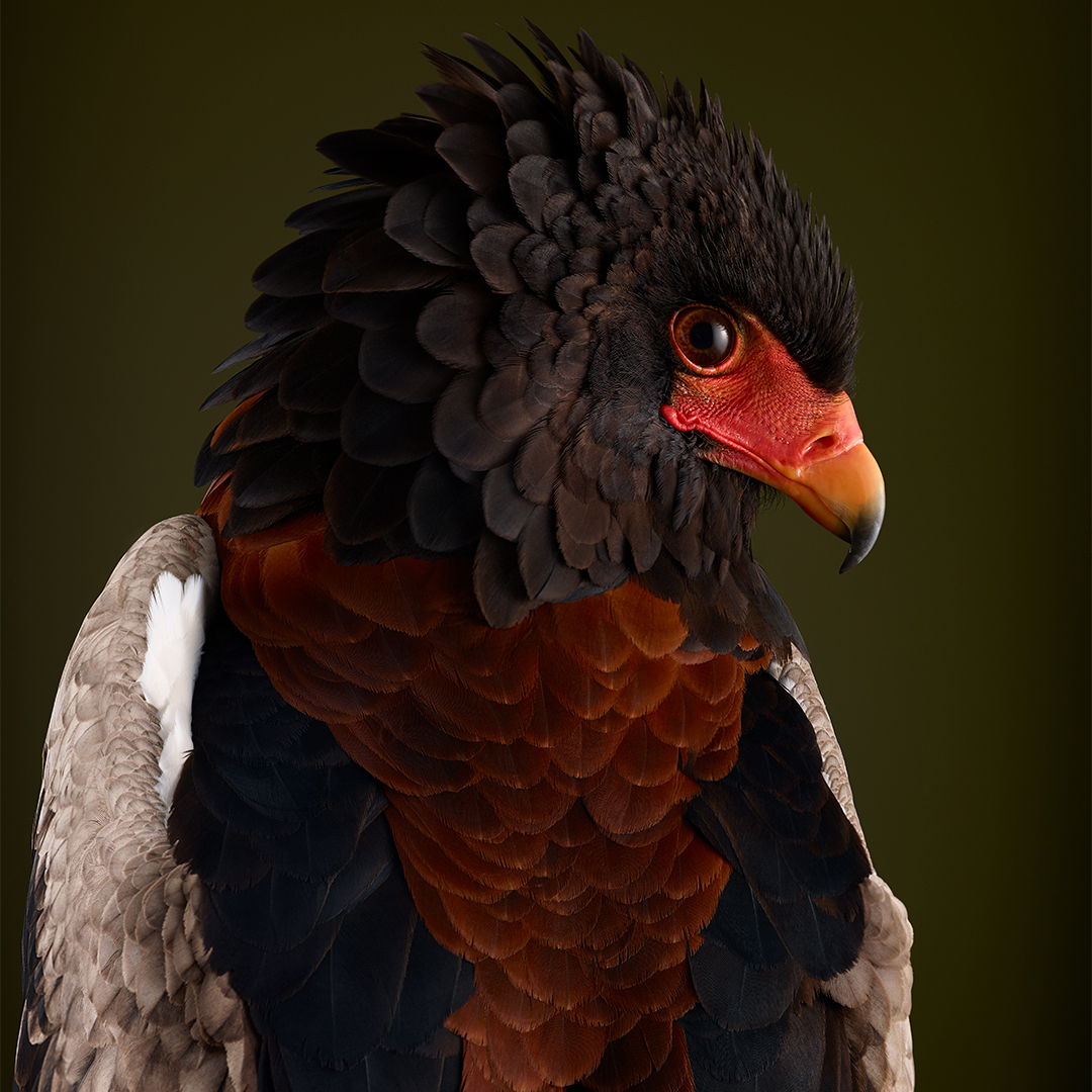 @juwelier_cwm 04.04.2026