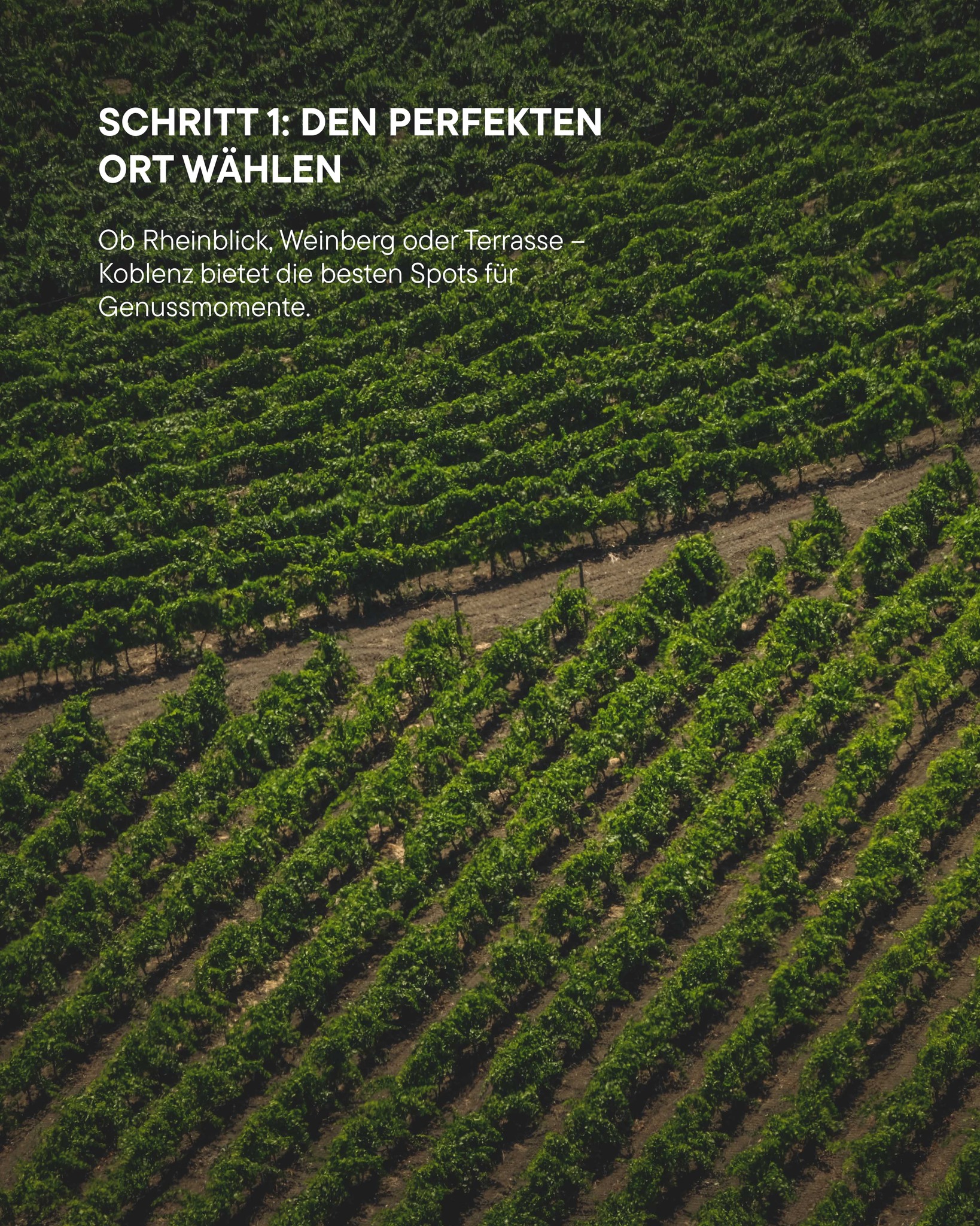 @juwelier_cwm 10.04.2026