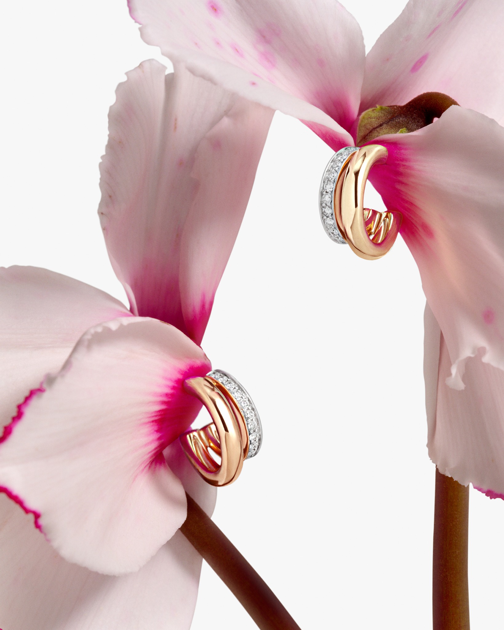 @juwelier_cwm 06.05.2026