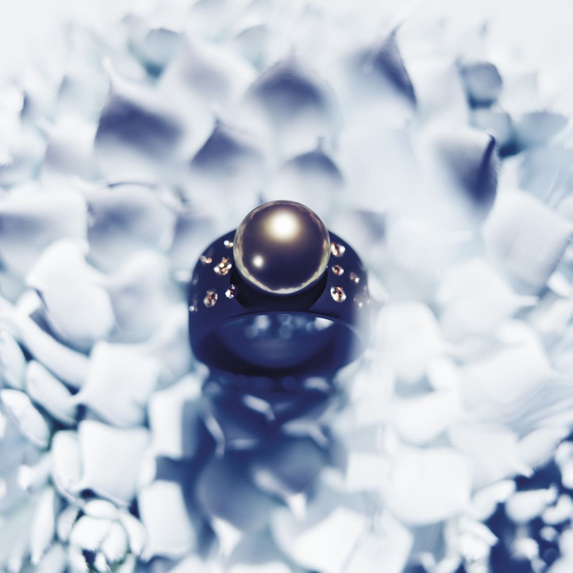 Gellner_Kollektion_Brave_Starsinheaven